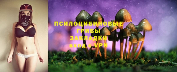 прущие крисы Богородицк