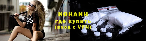 соль ск Белокуриха