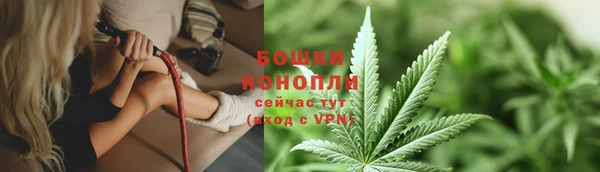 соль ск Белокуриха