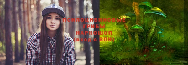молекула духа Богородск